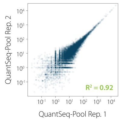 080_Correlation between replicates for individual samples in QuantSeq-Pool