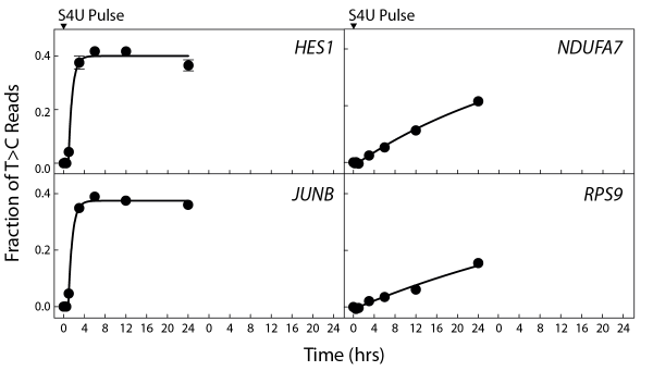 Metabolic RNA labeling experiments uncover individual kinetics of gene loci in cell perturbation experiments.