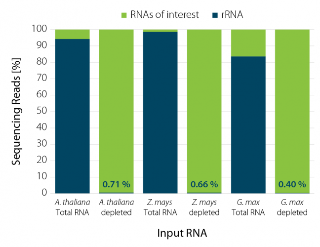 Performance of RiboCop for Plants on RNA from A.thaliana, Z. mays, and G. max.